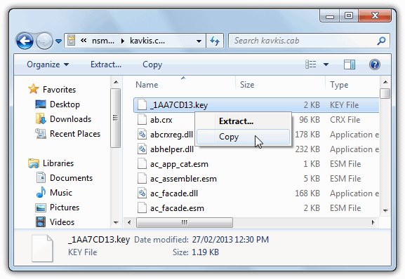 copy _1AA7CD13.key file