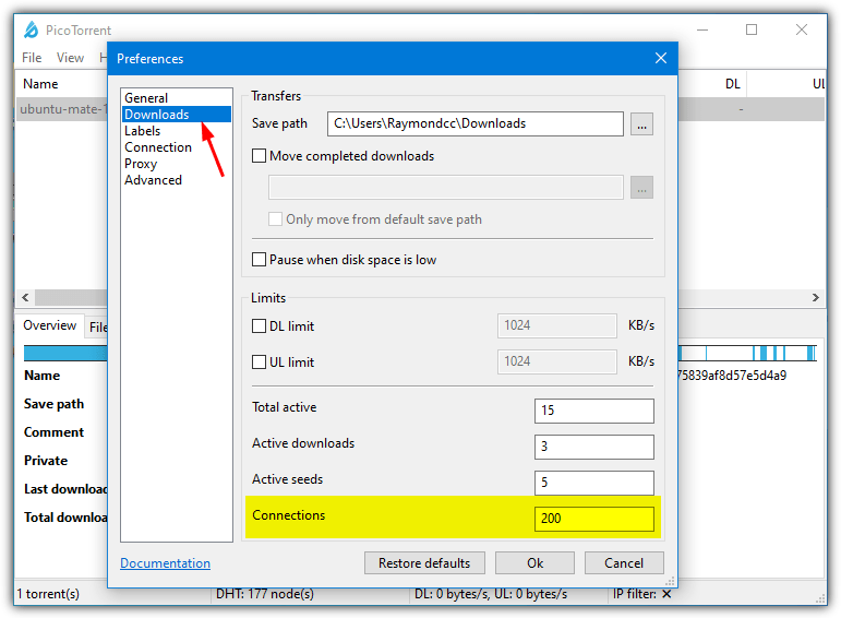 Picotorrent connections