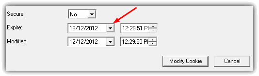 IECookiesView Change Expire Time
