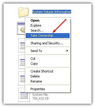 take ownership of system volume information in XP