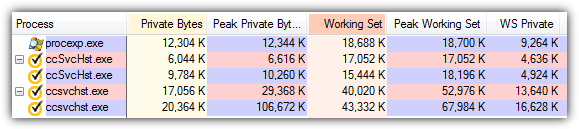 Norton Antivirus memory usage