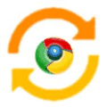 google chrome backup icon