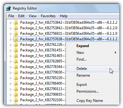 Delete corrupted packages in registry