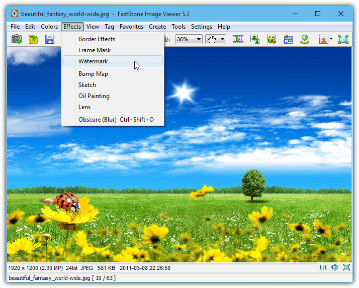 faststone image viewer