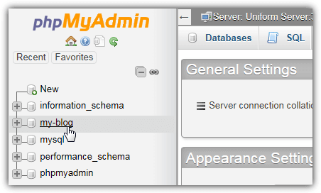 select wordpress database in phpmyadmin