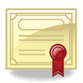 certificate icon