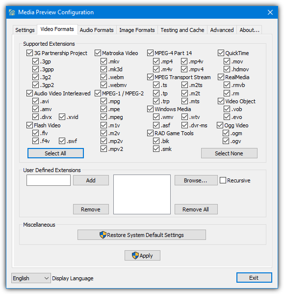 Media preview video formats