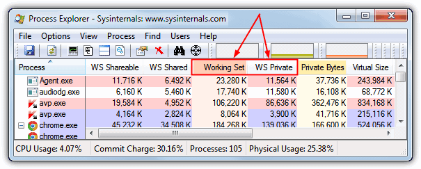 process explorer working set ws private