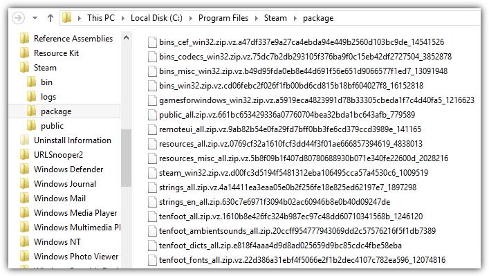 steam package files