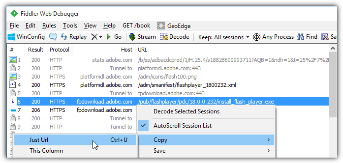 fiddler https url