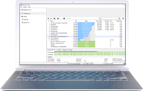 BitTorrent peer-to-peer torrent file sharing