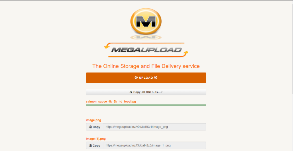 megaupload file hosting website