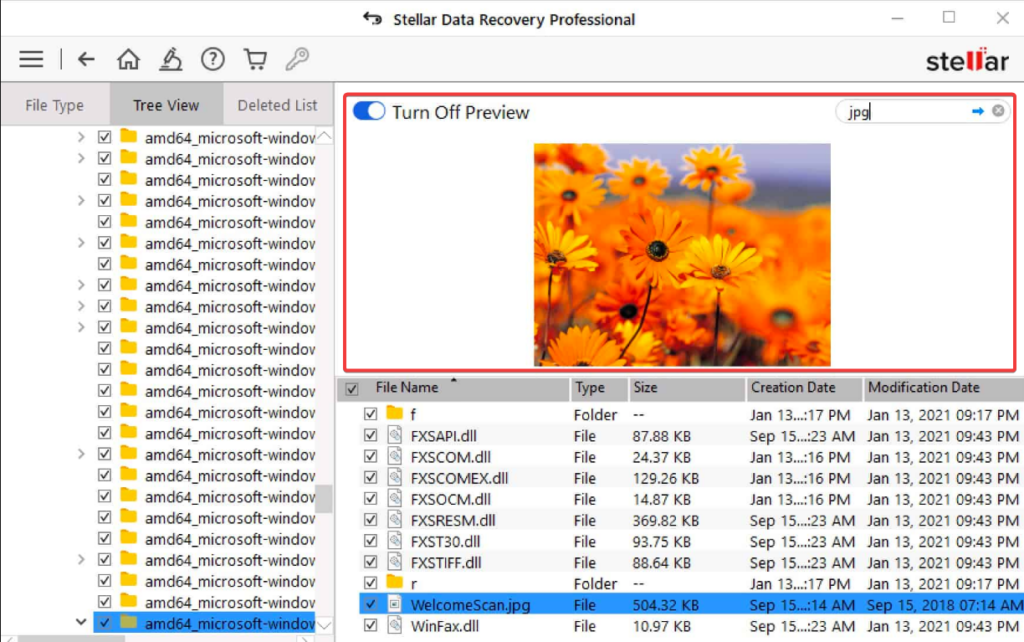 stellar data recovery file preview