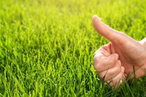 Best Lawn Care Software